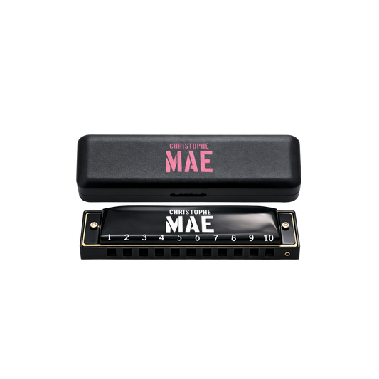 HARMONICA - FÊTE FORAINE